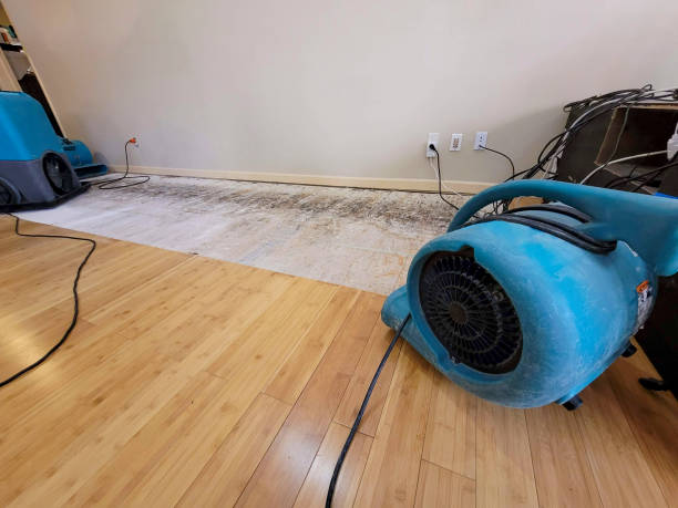 Professional Basement Flood Cleanup technician working in Hillsdale, NJ
